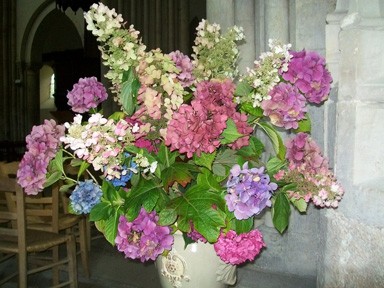 chronique 12 - bouquet hortensias